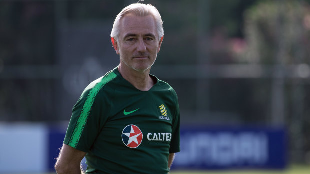 Much to do: Australian Socceroos coach Bert van Marwijk.