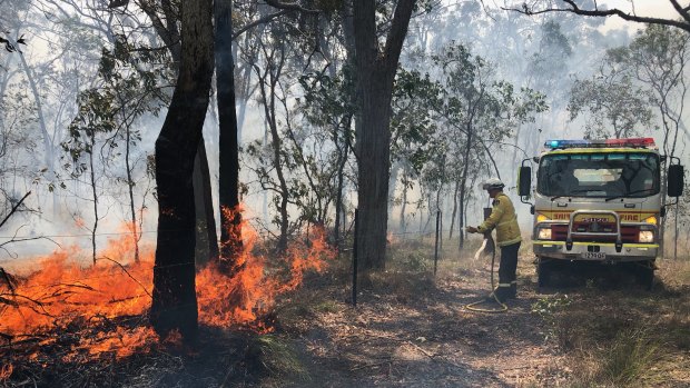 Victorian firefighters will join NSW crews helping their Queensland colleagues battle the bushfires.