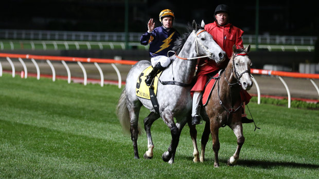Last goodbye: Tommy Berry waves to the crowds after Chautauqua refused to jump again.
