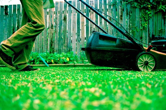 You could pay your kids to mow your lawn in an effort to save money.