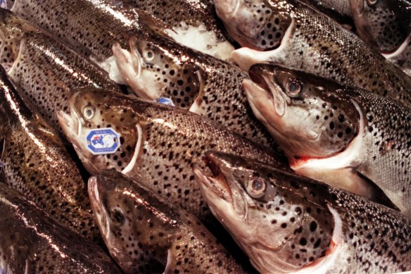 Global demand for Atlantic salmon is growing.