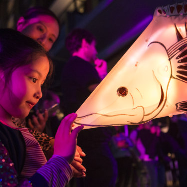 You don't need to try and capture the entire light installation, sometimes focusing on the smaller details can create for a stunning photo. 