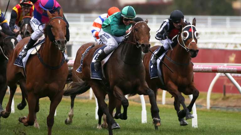 Damian Lane rides Humidor (centre) to victory at Flemington on Saturday.