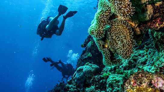 The United Nations’ heritage organisation, UNESCO, has warned the Great Barrier Reef is in danger.