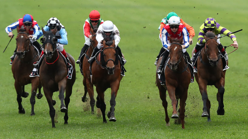 Race-by-race preview and tips for Ballina on Monday