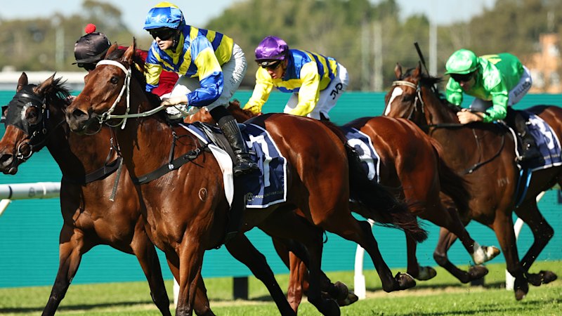 Fit and rested Harry’s Bar chases second success at Canterbury