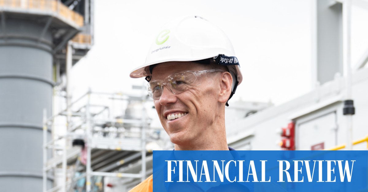 Tallawarra B gas plant: EnergyAustralia's big gas bet arrives as hydrogen runs down the clock - Vimarsana News