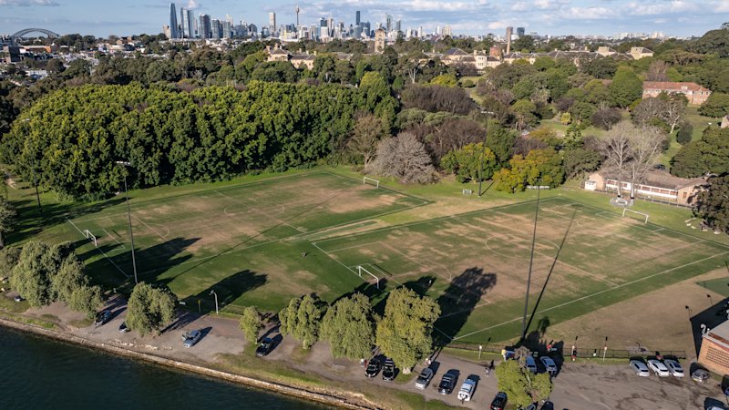 ‘Unacceptable’ or a ‘boost for local sport’? Synthetic turf plan for Sydney park edges closer