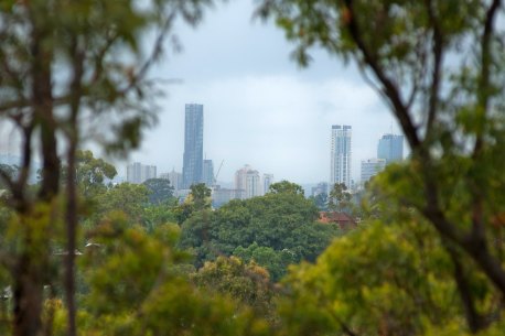 Brisbane has more suburbs with good tree cover than other state capitals.