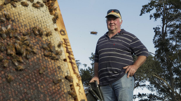 Laurie Kershaw with bees on his property in Sutton, NSW. He had to relocate 2500 of his hives during the summer bushfires.