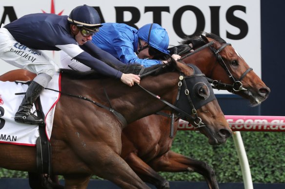 Homesman, second in last year's Caulfield Cup to Best Solution.
