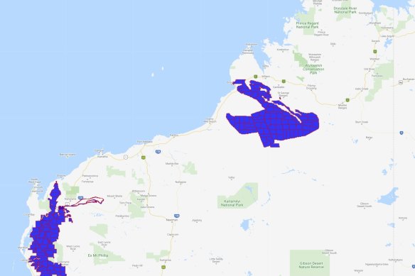 Fortescue has applied for more than 91,000 square kilometres of exploration licences in the Gascoyne and Kimberley in a massive land grab.