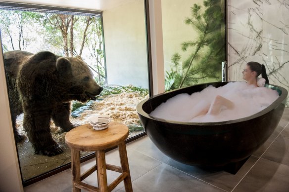 Thick glass separates animals from guests.