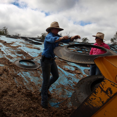 Jemima, Karen and Molly Penfold prepare to pull back tarp covering silage for cattle feed at ‘Mamaree’.