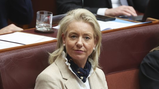 Shadow transport spokeswoman Bridget McKenzie.