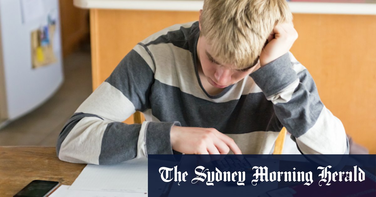 'Maths avoiders': Students dumping important HSC subjects - Vimarsana News