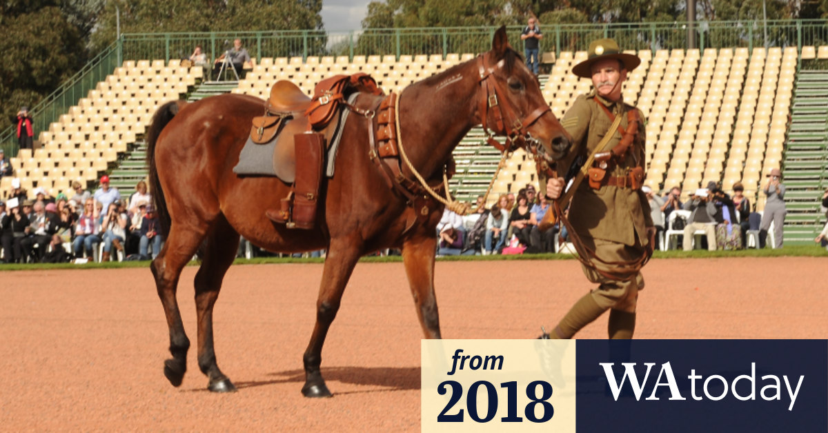 Rusty The Riderless Horse Dies Of Old Age