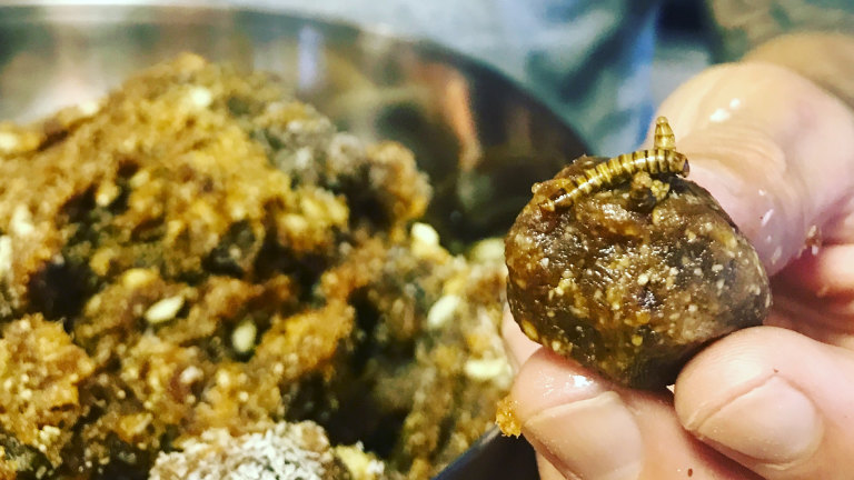 Rise Of The Edible Bugs