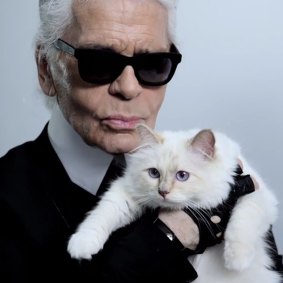 No one calls Karl Lagerfeld, pictured with his fave feline, Choupette, a 'crazy cat man'.
