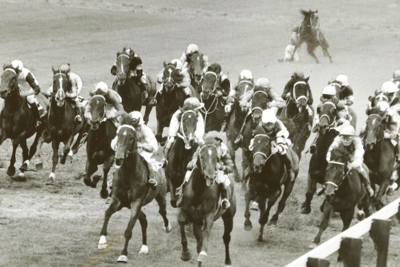 Dow Street falls in 1960 Centenary Melbourne Cup, 1 November 1960. 