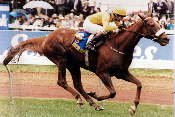 Galloping home: Vintage Crop running in the 1993 Melbourne Cup.