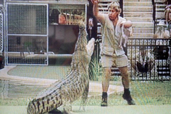 Steve created uproar when he cradled baby Robert while feeding a croc at Australia Zoo.