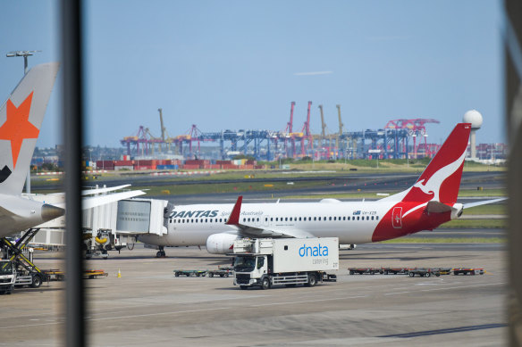 The Qantas plane at Sydney Airport after landing safely on Wednesday.