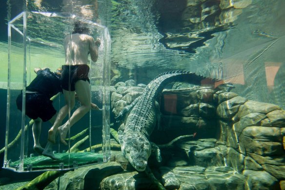 Would you dare? Darwin’s iconic Cage of Death.