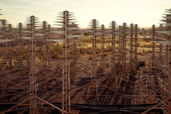 An artist’s impression of the low-frequency radio telescopes to be built in Western Australia’s outback.