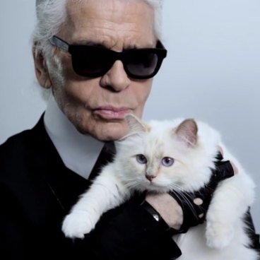 Single Women Are Turning The Cat Lady Stereotype On Its Head