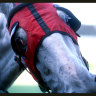 Race-by-race preview and tips for Monday meeting at Moruya