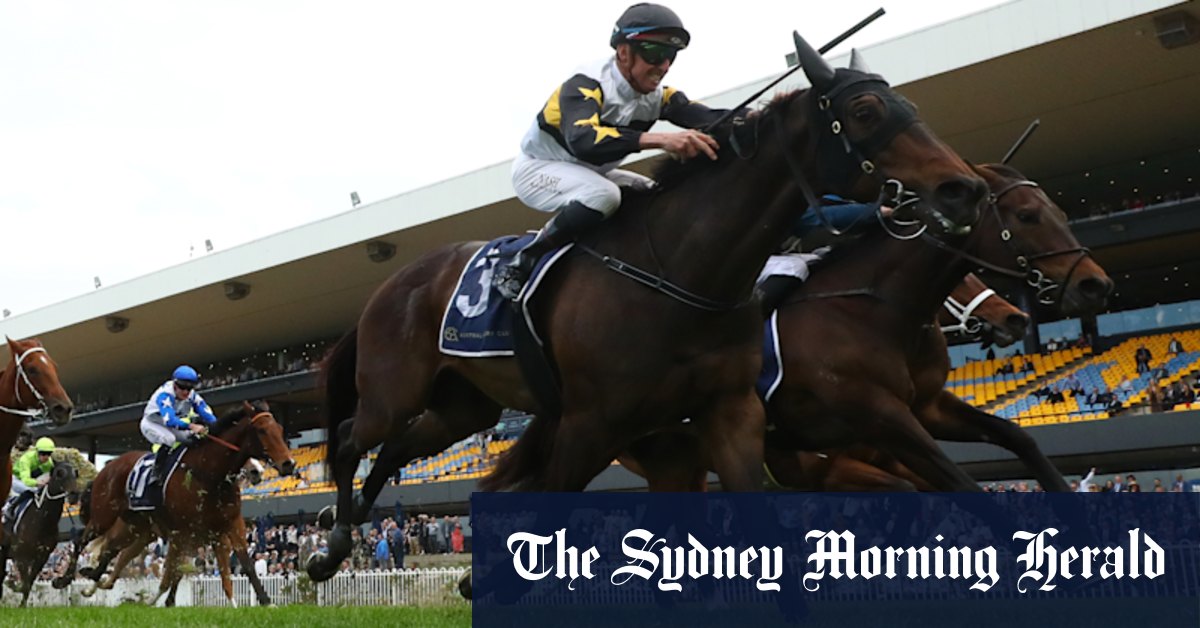 Rawiller hopes Gringotts can go one better at Rosehill