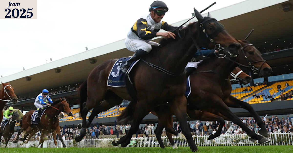 Alan Brown Stakes 2024: Rawiller hopes Gringotts can go one better at ...