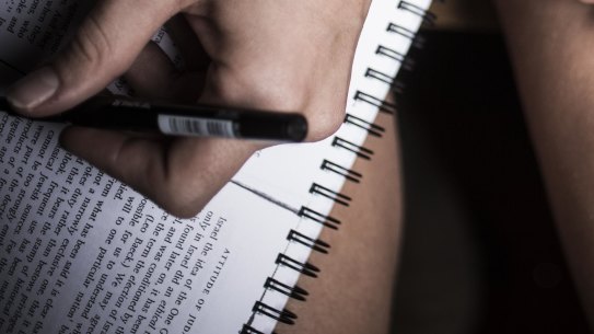 'I will rape you': female journalists face 'relentless' abuse