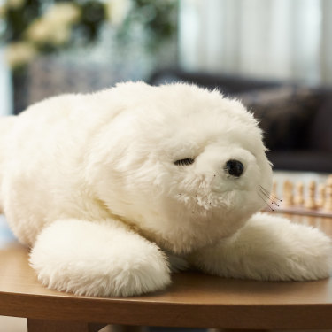 Paro, the robotic baby seal.