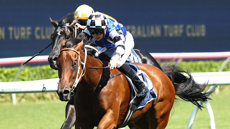 Trener Kris Lees želi osvojiti dirko The Hunter v Newcastlu