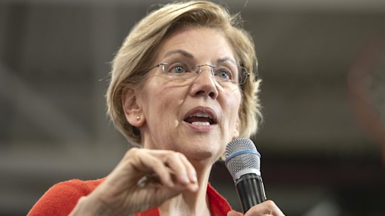 Democrat presidential candidate contender Massachusetts Senator Elizabeth Warren has pledged to bust up the big tech companies if she wins her run for the White House. 