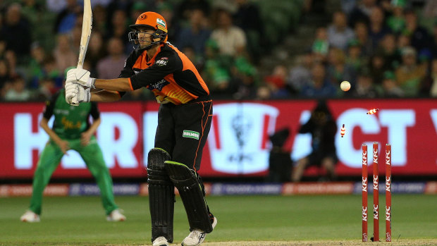 Knocked over: Ashton Agar of Perth Scorchers is bowled by Melbourne's star West Indies import Dwayne Bravo.