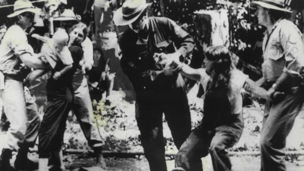 Protesters are led away by Queensland police from a blockade in the Daintree rainforest in 1984.