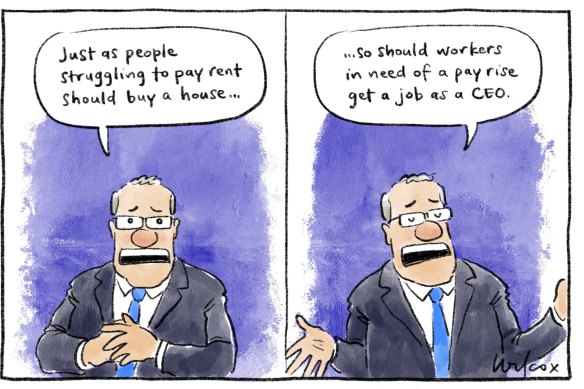 Illustration: Cathy Wilcox