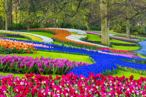 Millions of tulips flower in a tapestry of vivid colours at Keukenhof Gardens.