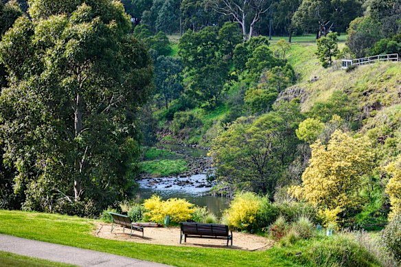 Uma imagem deste idílio rural perto da cidade… Merri Creek.