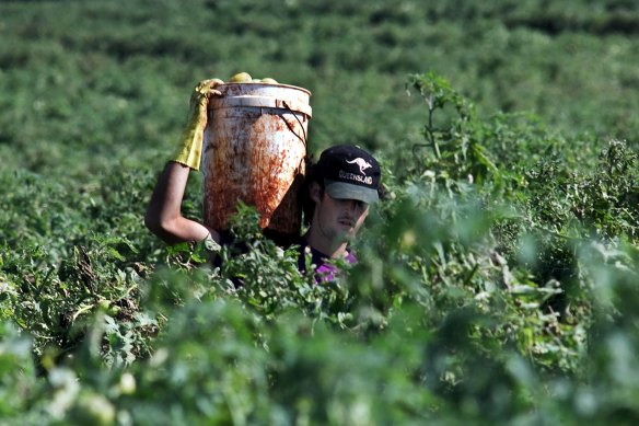 Farm work can be gruelling, repetitive and done in harsh conditions.