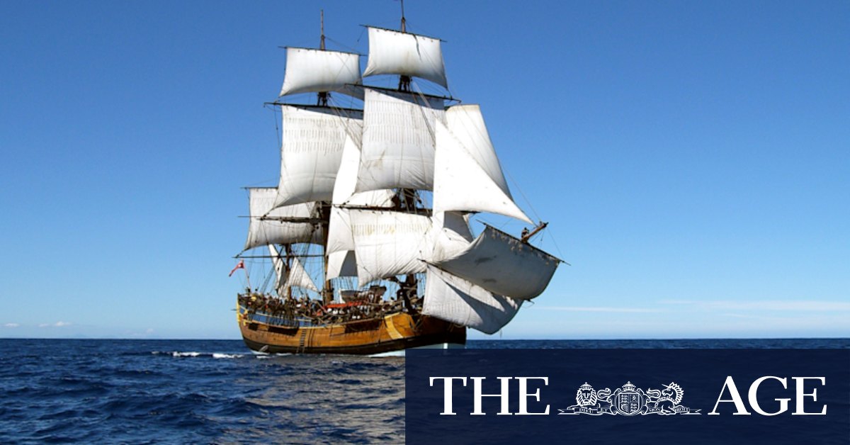 Seaworms leaving Endeavour's timbers honeycombed, says expert - Vimarsana News