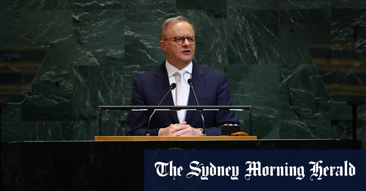 Australia seeks seat in 2029-30 to elevate global role