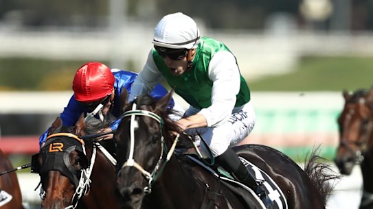 Bobbing wins the Provincial Championship final at Randwick last year.  He tackles Sunday's feature Tamworth Cup.