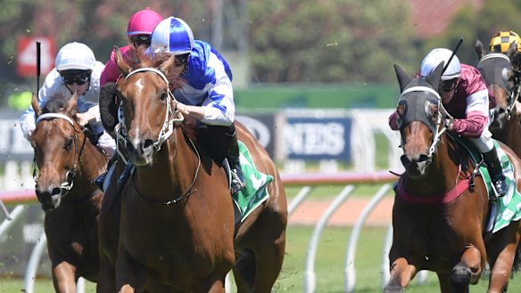 Kicking clear: Noble Boy wins the Highway Handicap at Rosehill. 