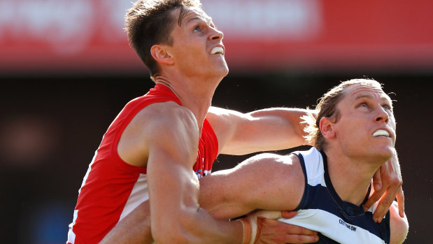 Cat fight: Mark Blicavs (right) helped spare Geelong's blushes with a timely spoil in the dying seconds of the match.