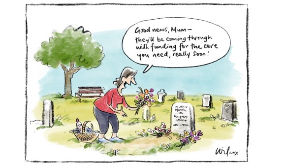 Illustration; Cathy Wilcox