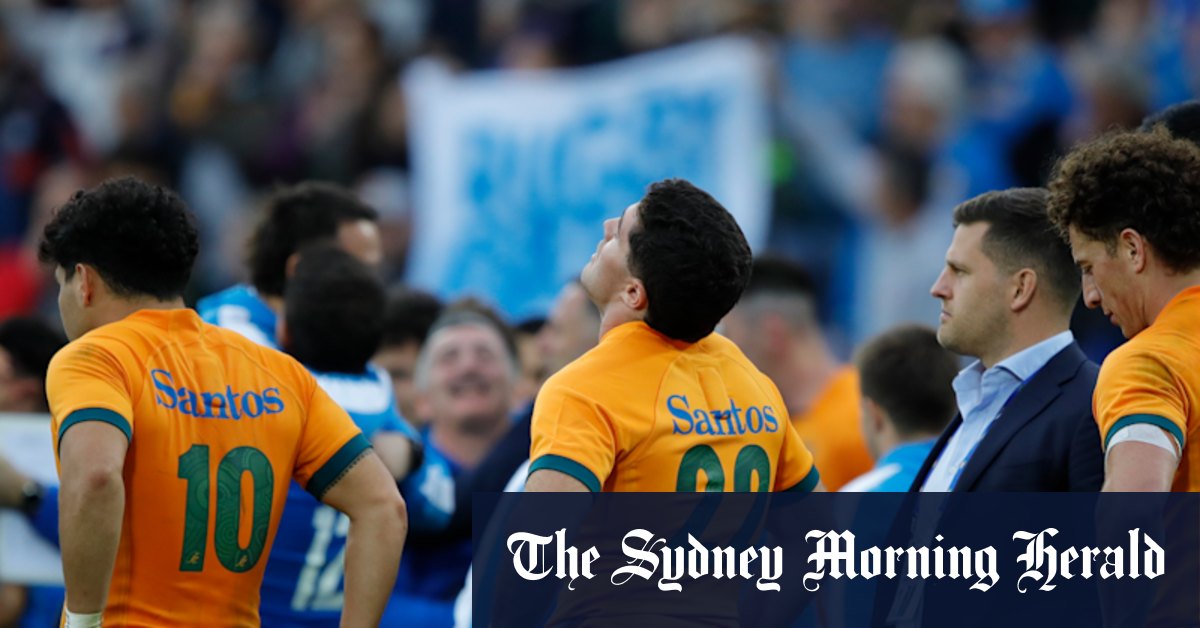 Australia coach Joe Schmidt seeks to avoid repeat of 2022 horror result